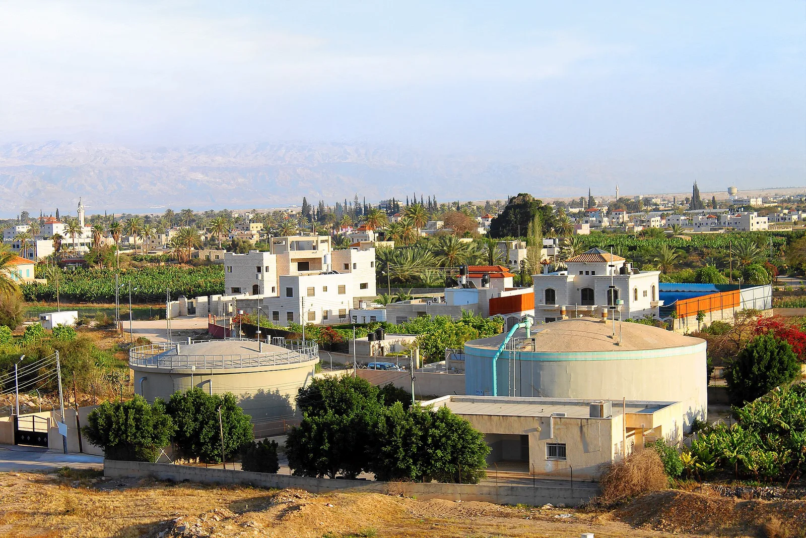 יריחו. עיר נווה מדבר בבקעת הירדן שבגדה המערבית, מהערים העתיקות ביותר בעולם.